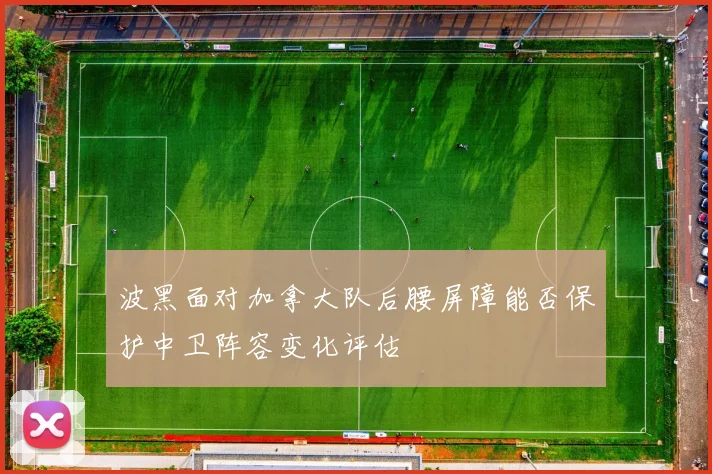 波黑面对加拿大队后腰屏障能否保护中卫阵容变化评估