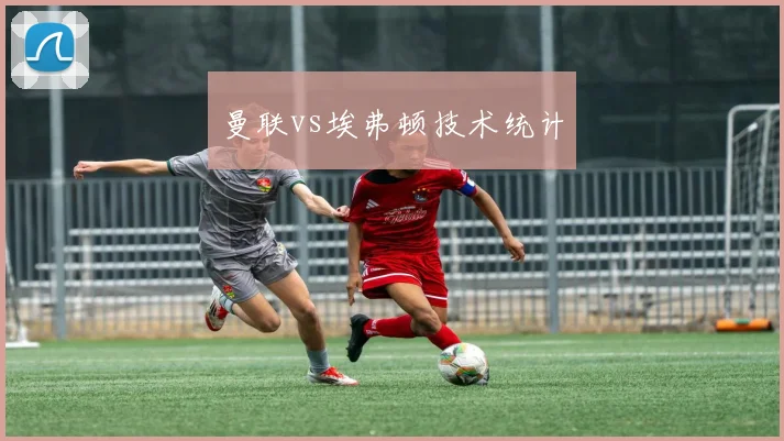 曼联vs埃弗顿技术统计