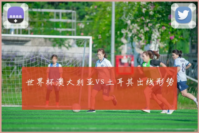 世界杯澳大利亚vs土耳其出线形势